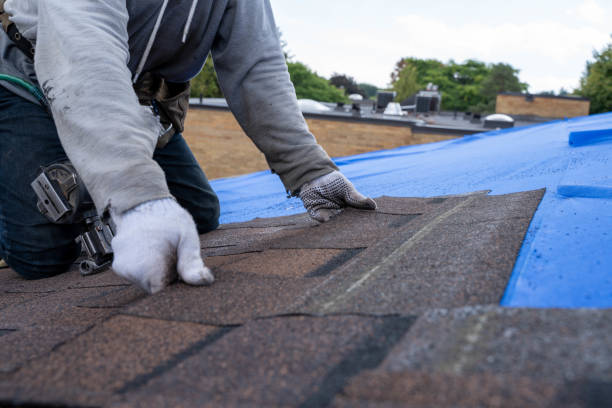 Best Metal Roofing Contractor  in Halsey, OR