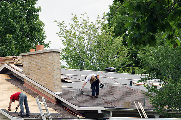 Best Roof Gutter Cleaning  in Halsey, OR