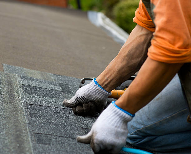 Best Sealant for Roof  in Halsey, OR