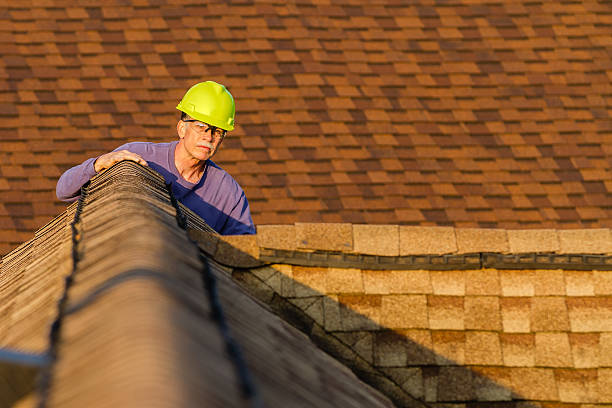 Roof Gutter Cleaning in Halsey, OR
