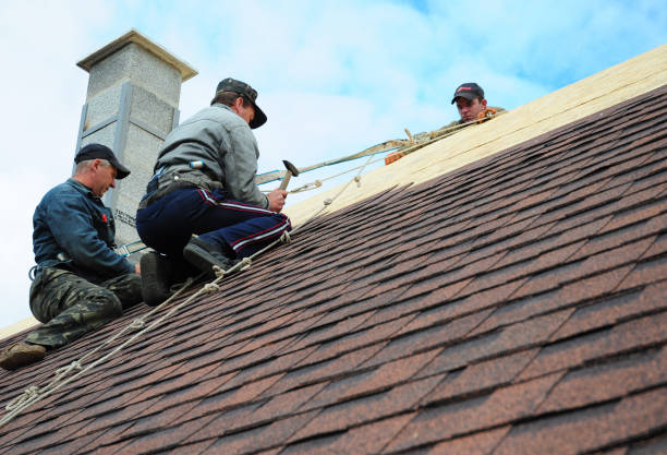 Best Roofing Contractor Near Me  in Halsey, OR