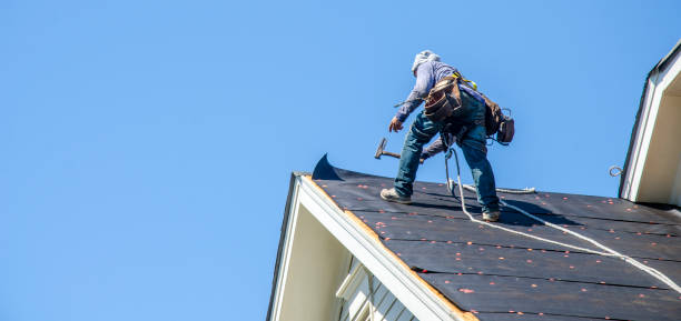 Best Local Roofing Companies  in Halsey, OR